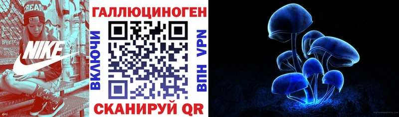Купить  Пустошка  Галлюциногенные грибы Cubensis 